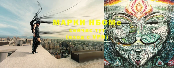 прущий лед Арсеньев