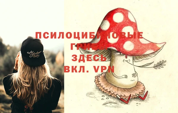 прущий лед Арсеньев