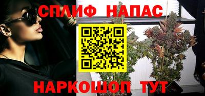 молекула духа Новозыбков