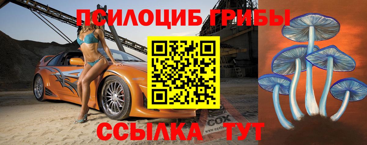 Галлюциногенные грибы Psilocybe Барабинск