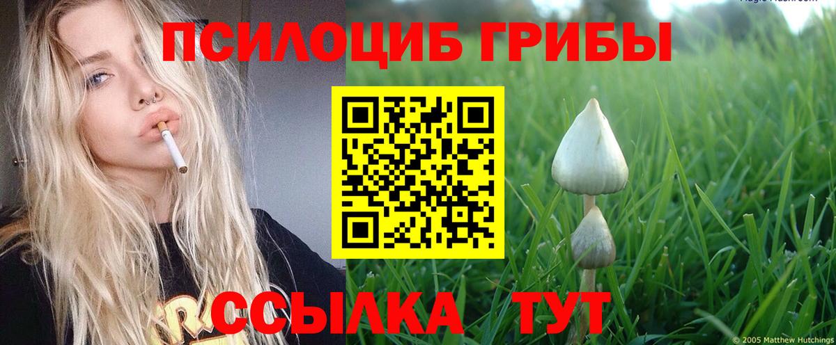 Псилоцибиновые грибы прущие грибы  Галлюциногенные грибы GOLDEN TEACHER  Вход с VPN  Барабинск 